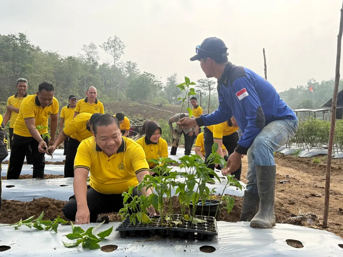Polres Bangka Selatan Tanam Cabai Melalui Program Green Policing, Dukung Ketahanan Pangan dan Kelestarian Lingkungan
